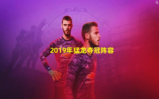 2019年猛龙夺冠阵容