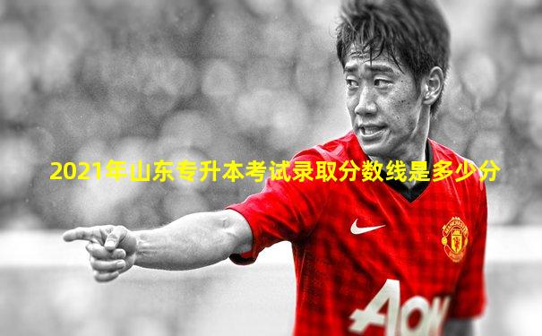 2021年山东专升本考试录取分数线是多少分