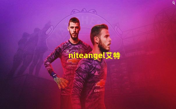 niteangel艾特