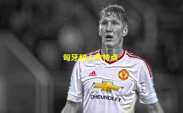 匈牙利人种特点