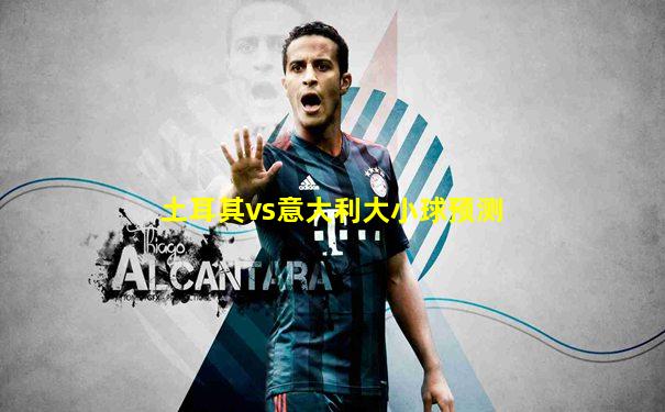 土耳其vs意大利大小球预测