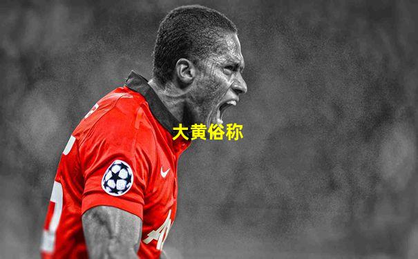 大黄俗称