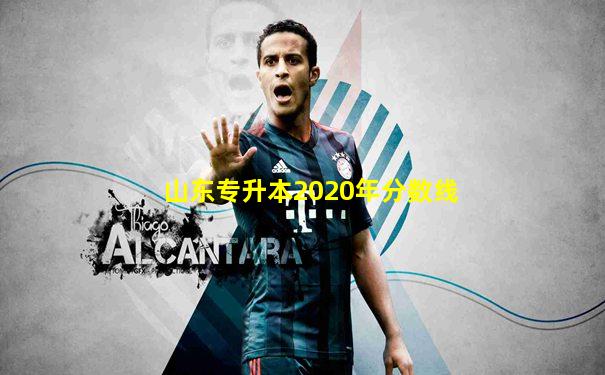 山东专升本2020年分数线