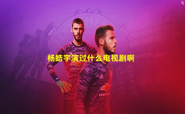 杨皓宇演过什么电视剧啊