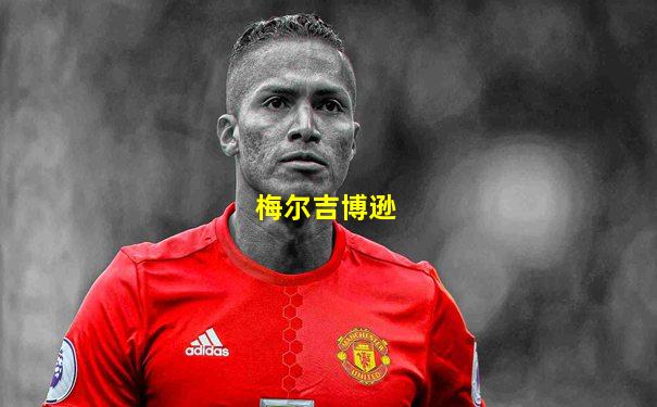 梅尔吉博逊