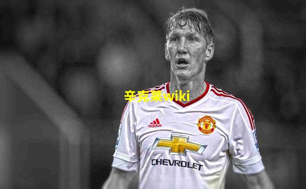 辛克莱wiki
